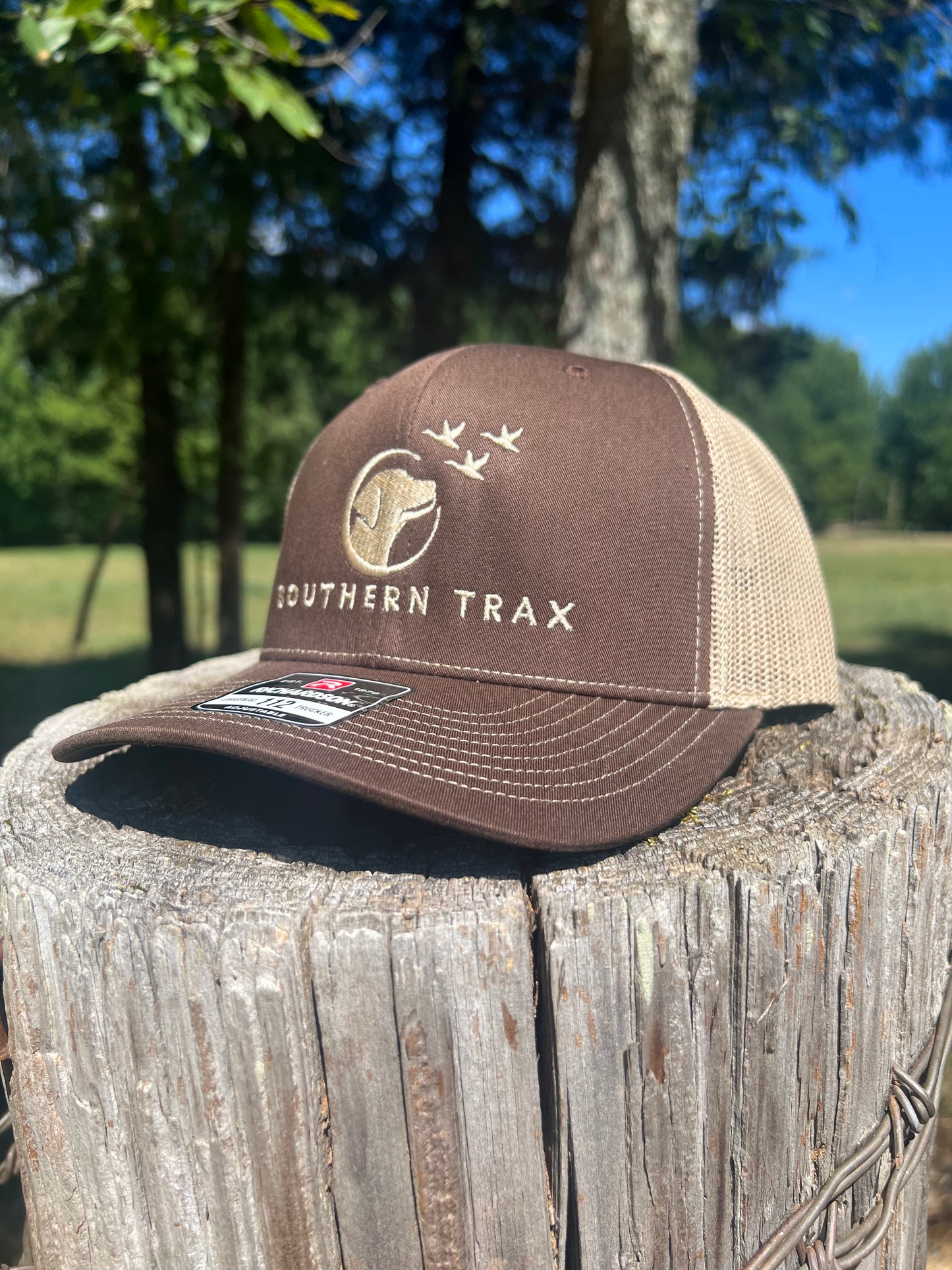 ST Logo Hat