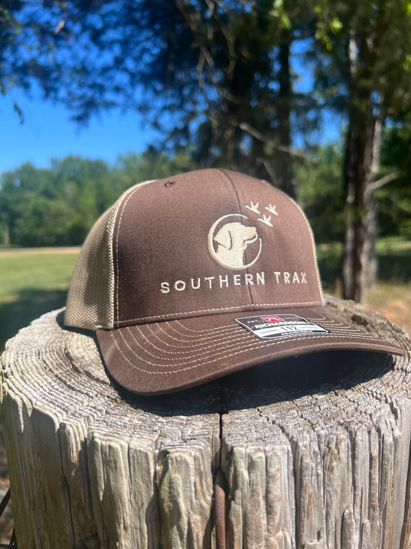 ST Logo Hat